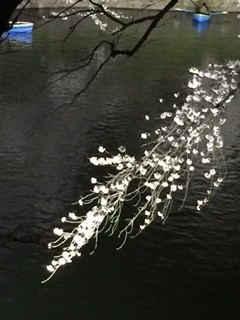 f:id:KyojiOhno:20180326190350j:plain f:id:KyojiOhno:20180326190350j:plain