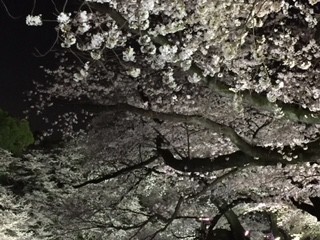 f:id:KyojiOhno:20180326191104j:plain f:id:KyojiOhno:20180326191104j:plain