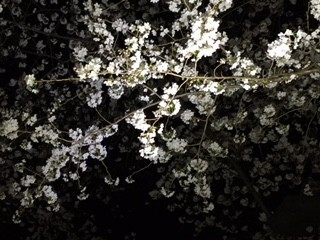 f:id:KyojiOhno:20180326191342j:plain f:id:KyojiOhno:20180326191342j:plain