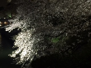 f:id:KyojiOhno:20180326191645j:plain f:id:KyojiOhno:20180326191645j:plain