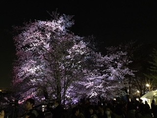 f:id:KyojiOhno:20180326192756j:plain f:id:KyojiOhno:20180326192756j:plain