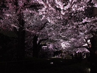 f:id:KyojiOhno:20180326192821j:plain f:id:KyojiOhno:20180326192821j:plain