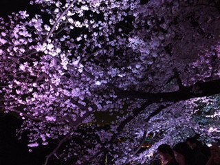 f:id:KyojiOhno:20180326192933j:plain f:id:KyojiOhno:20180326192933j:plain