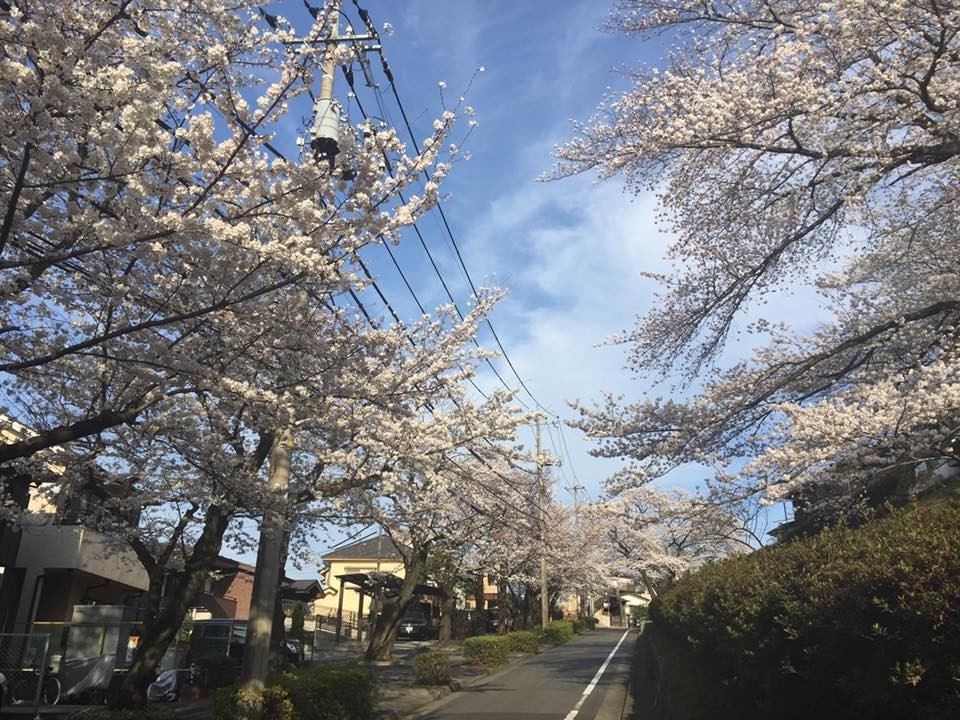f:id:KyojiOhno:20180327103427j:plain f:id:KyojiOhno:20180327103427j:plain