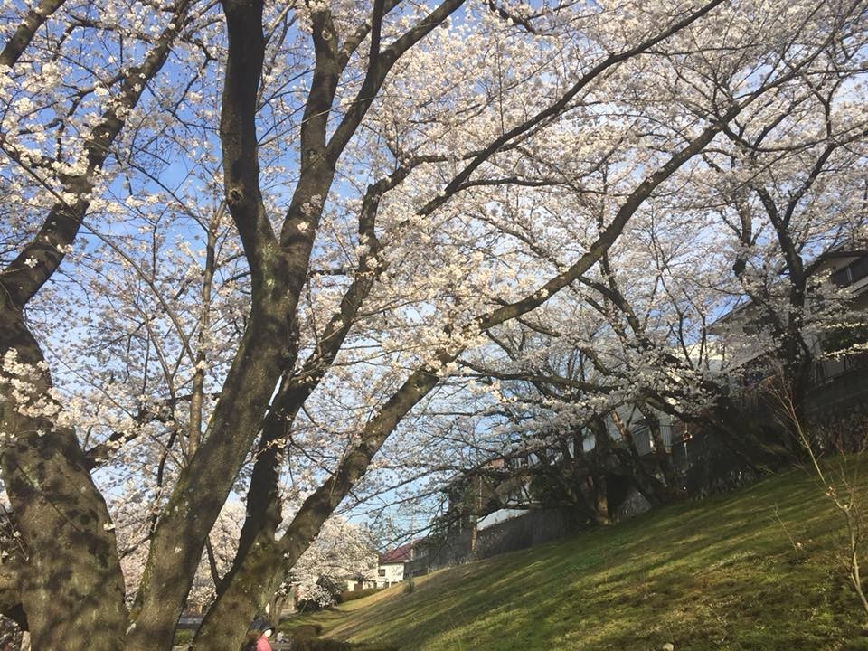 f:id:KyojiOhno:20180327103459j:plain f:id:KyojiOhno:20180327103459j:plain
