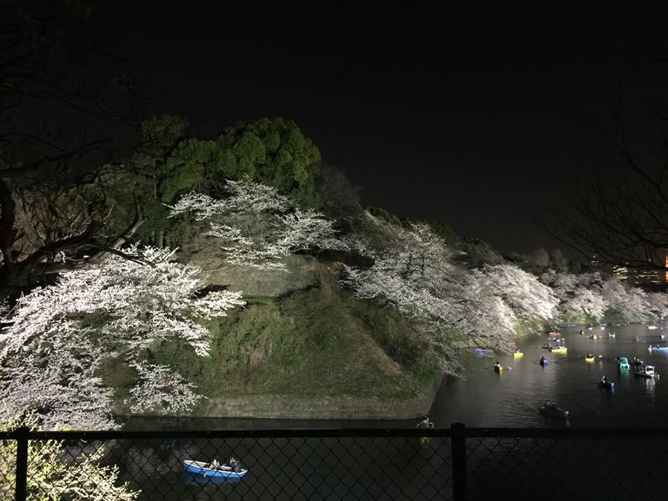 f:id:KyojiOhno:20180327104627j:plain f:id:KyojiOhno:20180327104627j:plain
