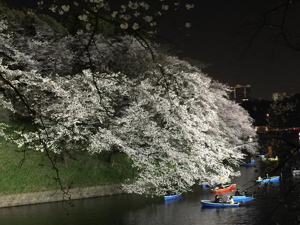 f:id:KyojiOhno:20180327104648j:plain f:id:KyojiOhno:20180327104648j:plain