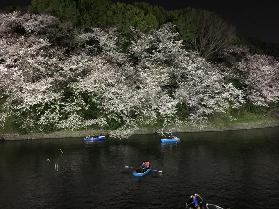 f:id:KyojiOhno:20180327104803j:plain f:id:KyojiOhno:20180327104803j:plain