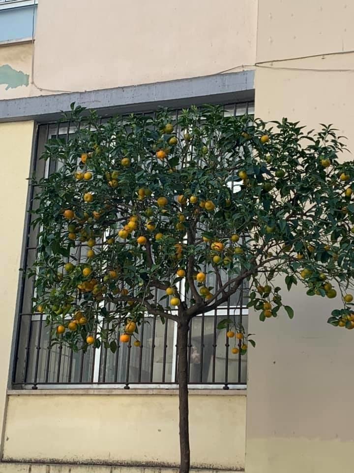 f:id:KyojiOhno:20181210215443j:plain f:id:KyojiOhno:20181210215443j:plain