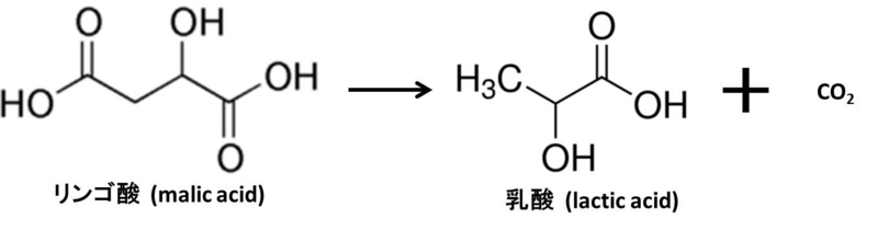 f:id:Kyoshiro1225:20141222220615j:plain