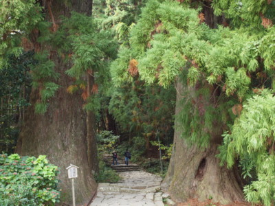 f:id:KyrieEleison:20101121124221j:image