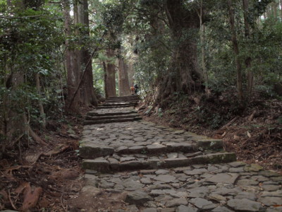 f:id:KyrieEleison:20101121125014j:image