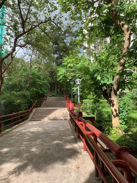f:id:KyuTA:20190705194149j:plain f:id:KyuTA:20190705194149j:plain