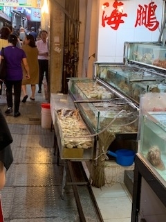 f:id:KyuTA:20190917184438j:plain f:id:KyuTA:20190917184438j:plain