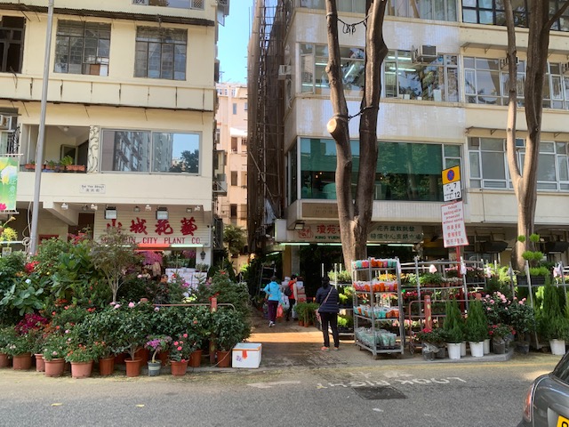 f:id:KyuTA:20191213161011j:plain