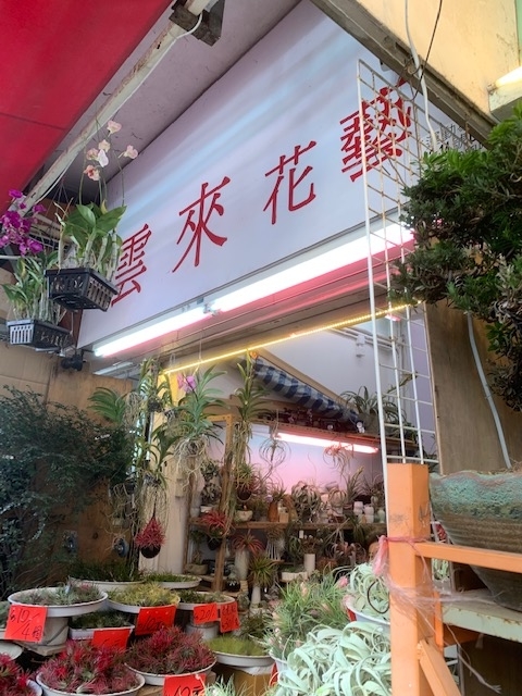 f:id:KyuTA:20191213163742j:plain