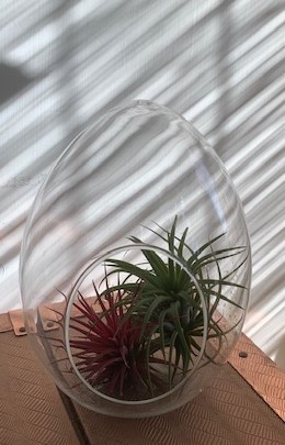 f:id:KyuTA:20191213164307j:plain
