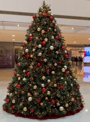 f:id:KyuTA:20201223185926j:plain
