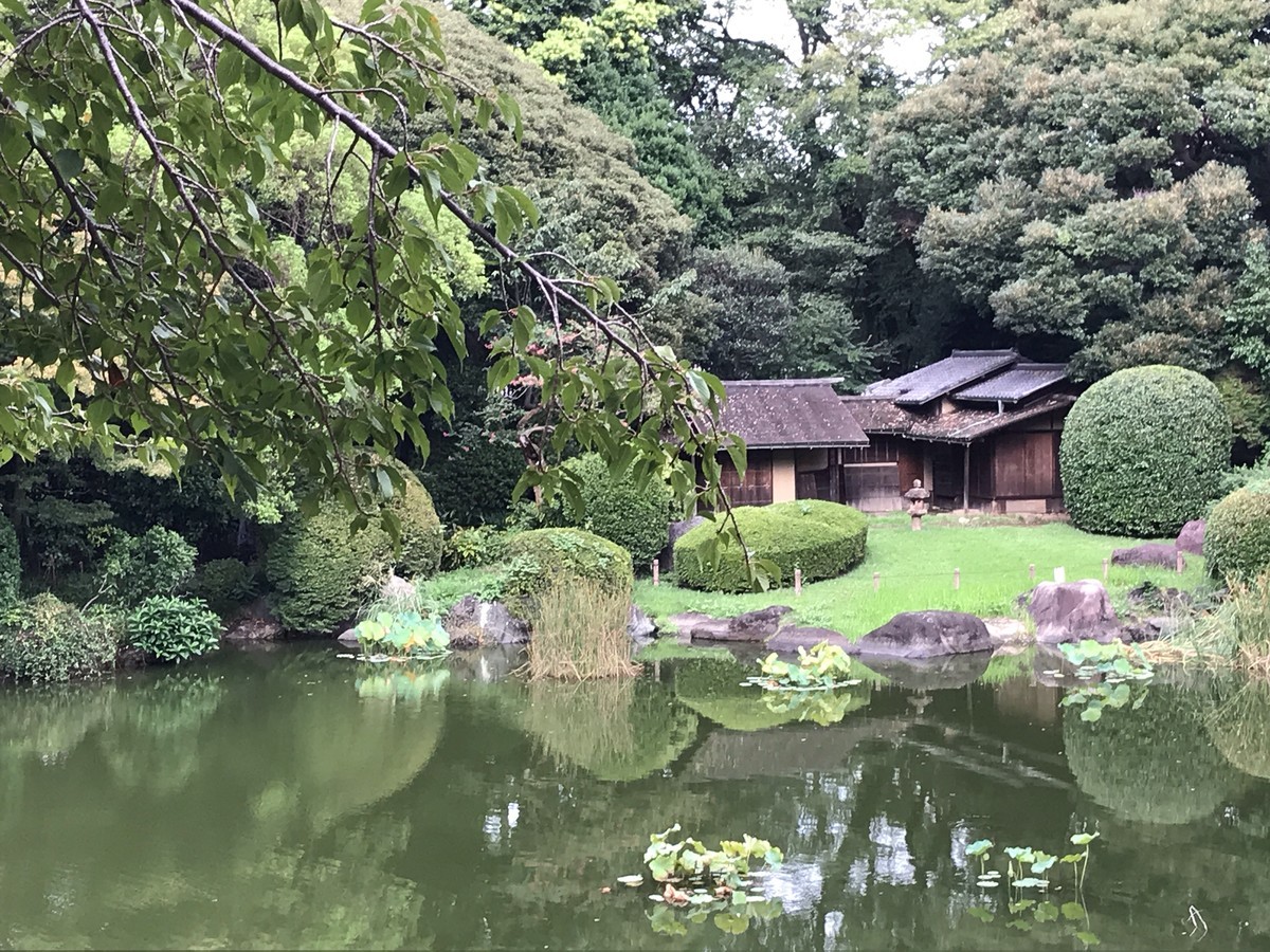 f:id:L-Komachi:20190912151325j:plain f:id:L-Komachi:20190912151325j:plain