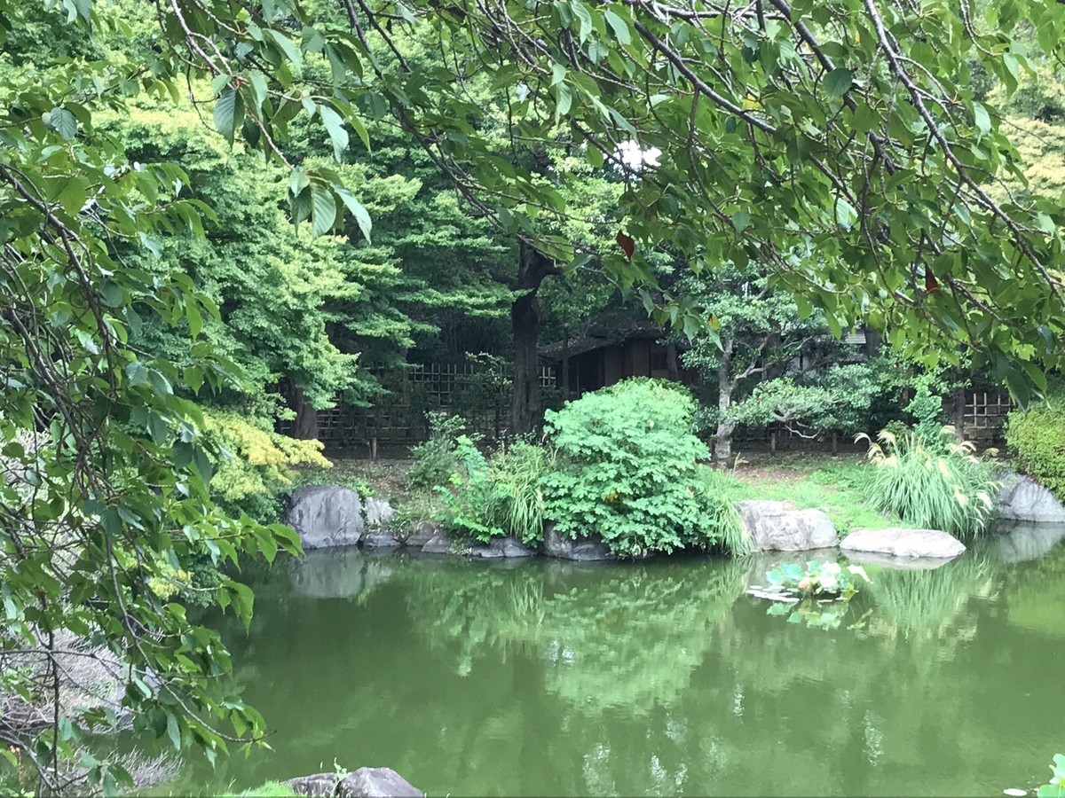 f:id:L-Komachi:20190912151333j:plain f:id:L-Komachi:20190912151333j:plain