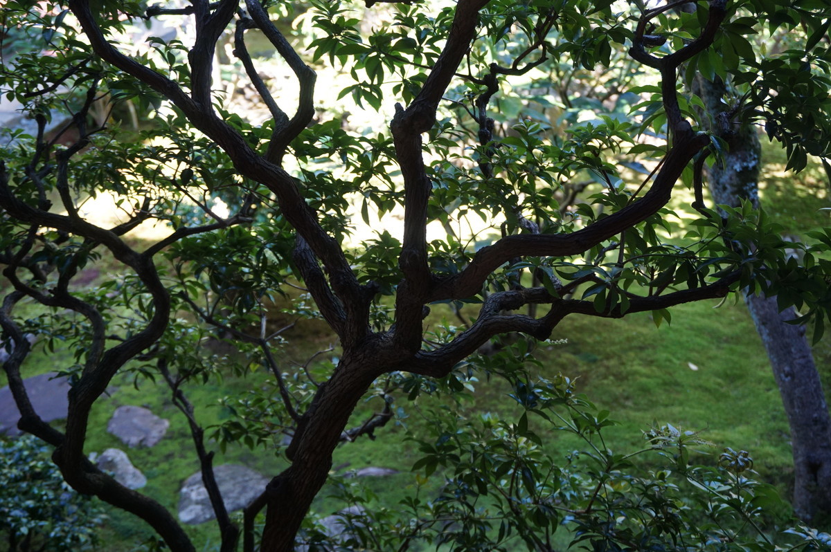 f:id:L-Komachi:20191016121613j:plain f:id:L-Komachi:20191016121613j:plain