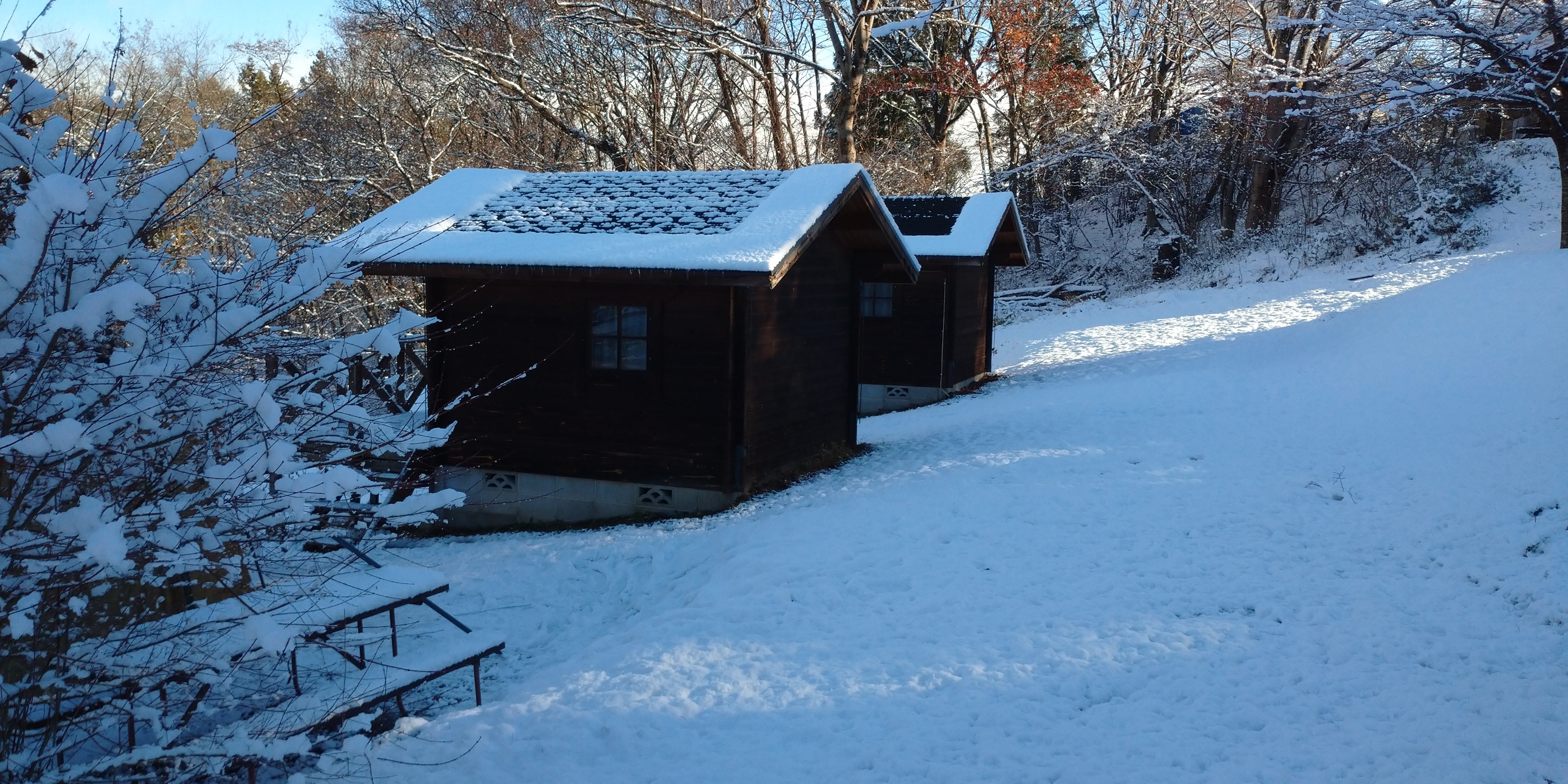 f:id:L2ud38KoEgkrtY0:20211201103659j:image