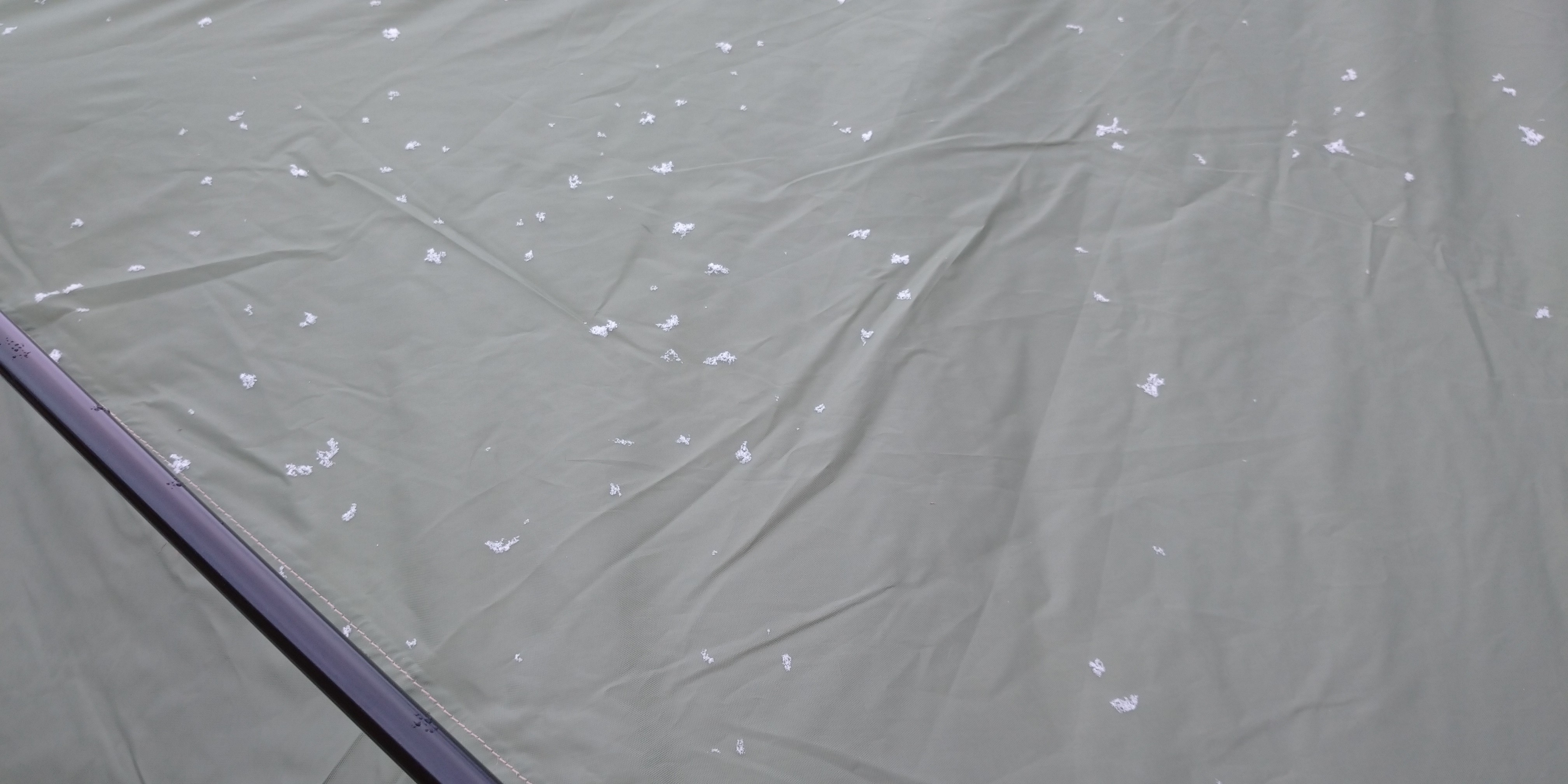 f:id:L2ud38KoEgkrtY0:20211201104337j:image