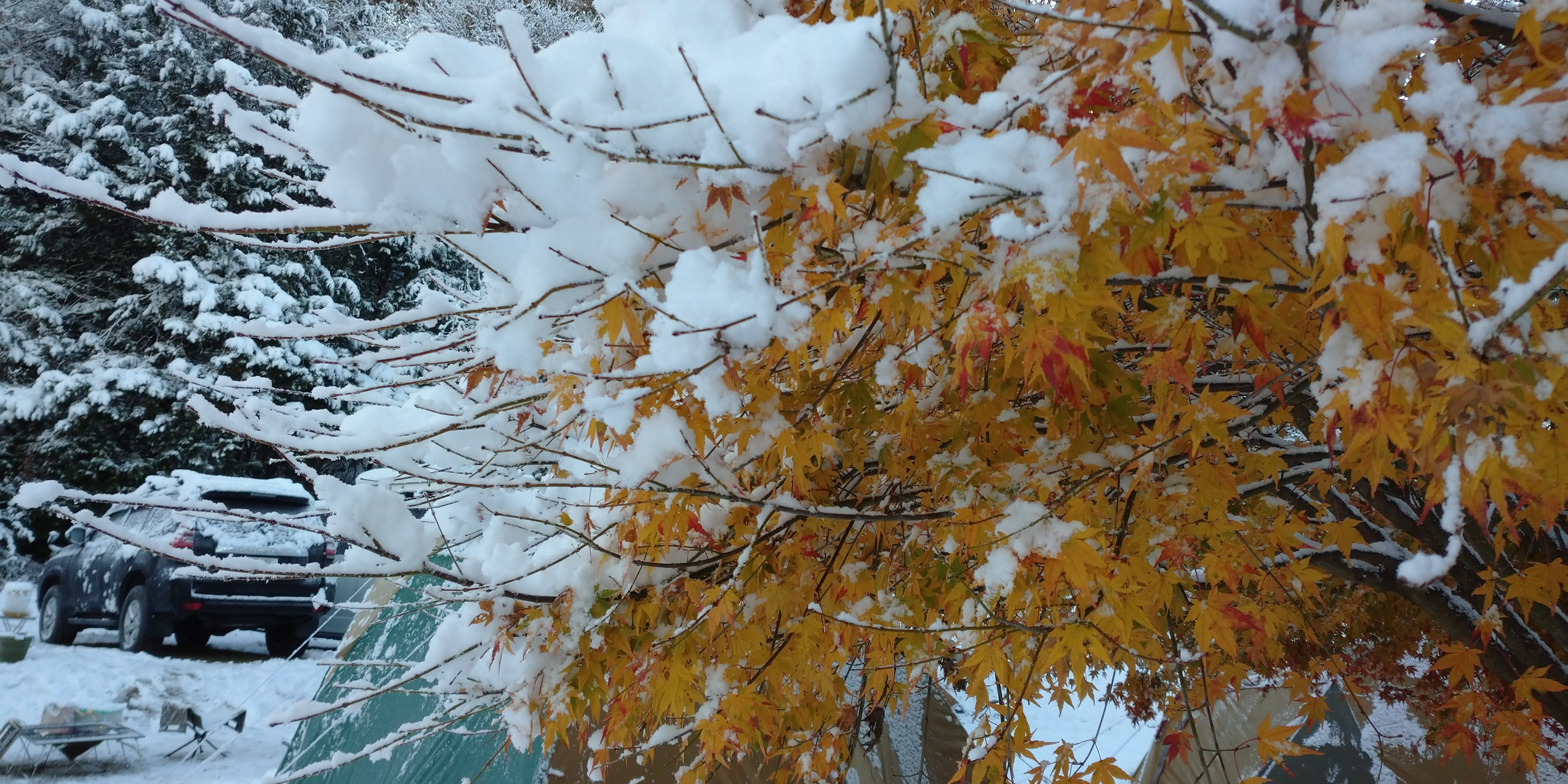 f:id:L2ud38KoEgkrtY0:20211201105219j:image