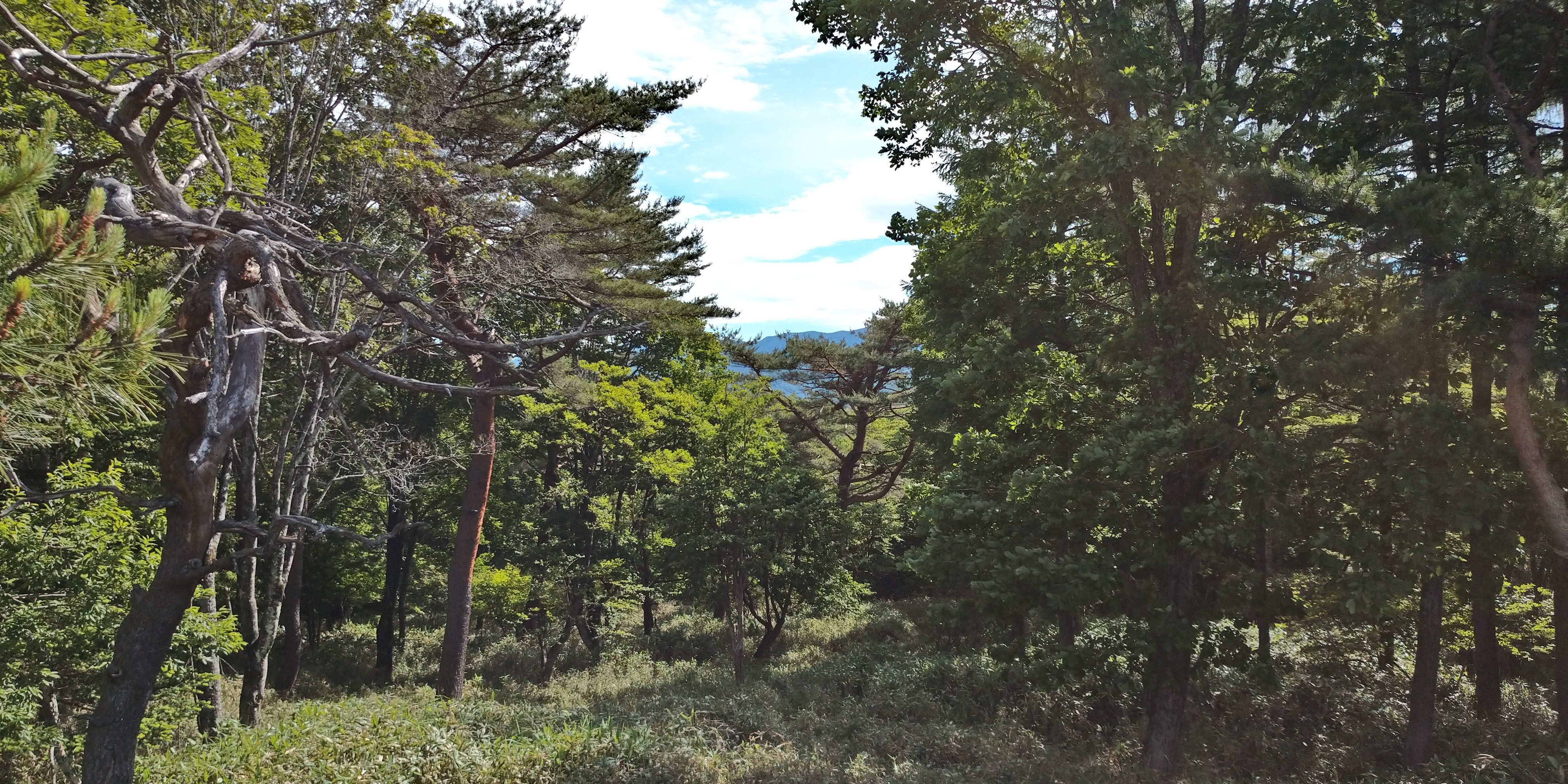 f:id:L2ud38KoEgkrtY0:20220630001217j:image