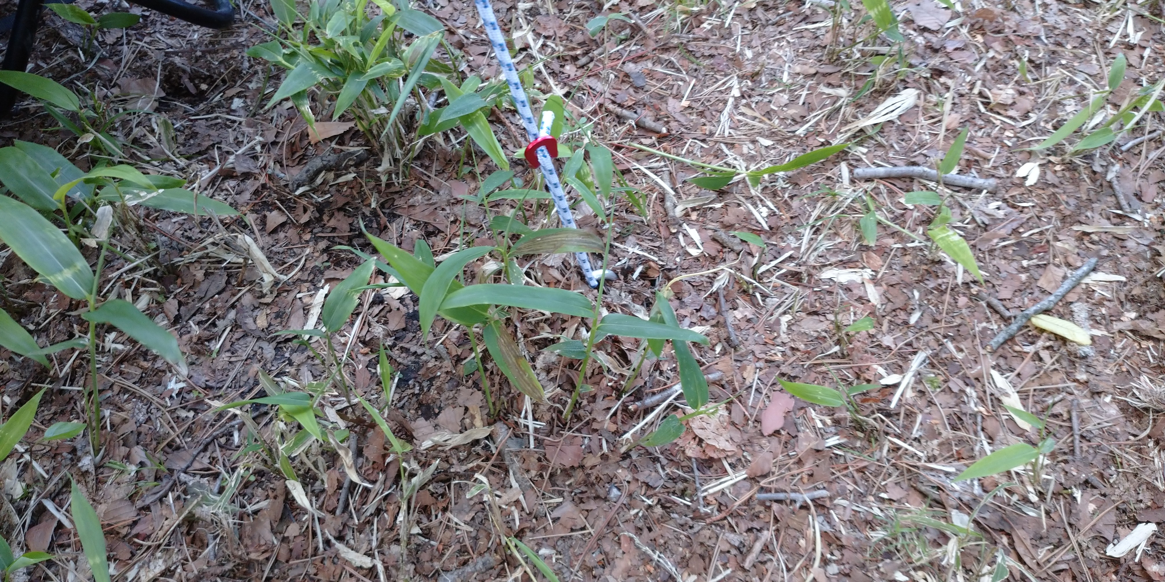 f:id:L2ud38KoEgkrtY0:20220630002116j:image