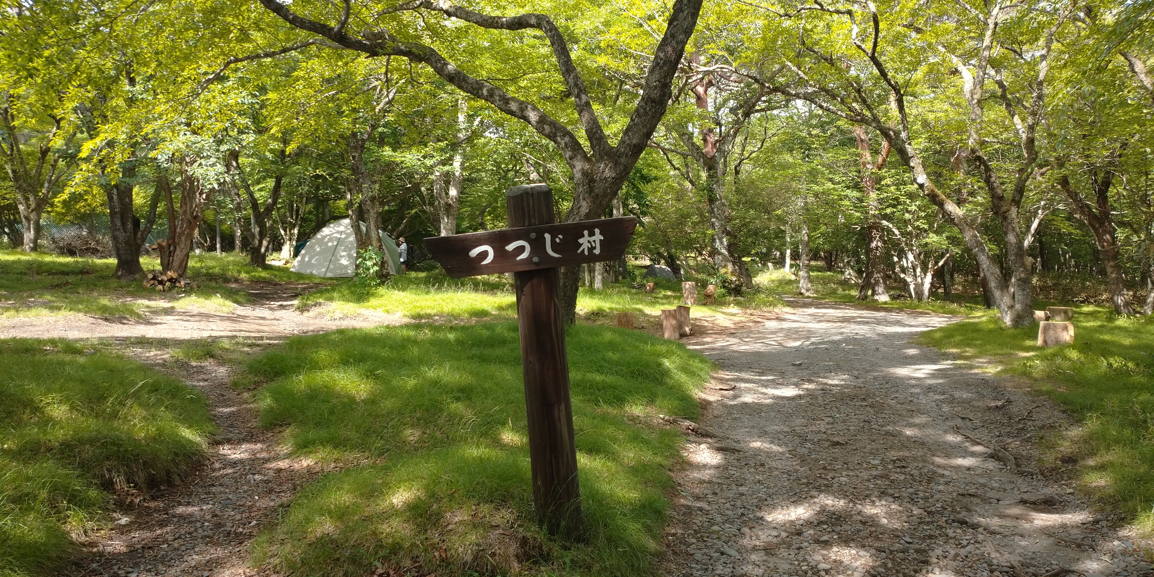 f:id:L2ud38KoEgkrtY0:20220630100930j:image