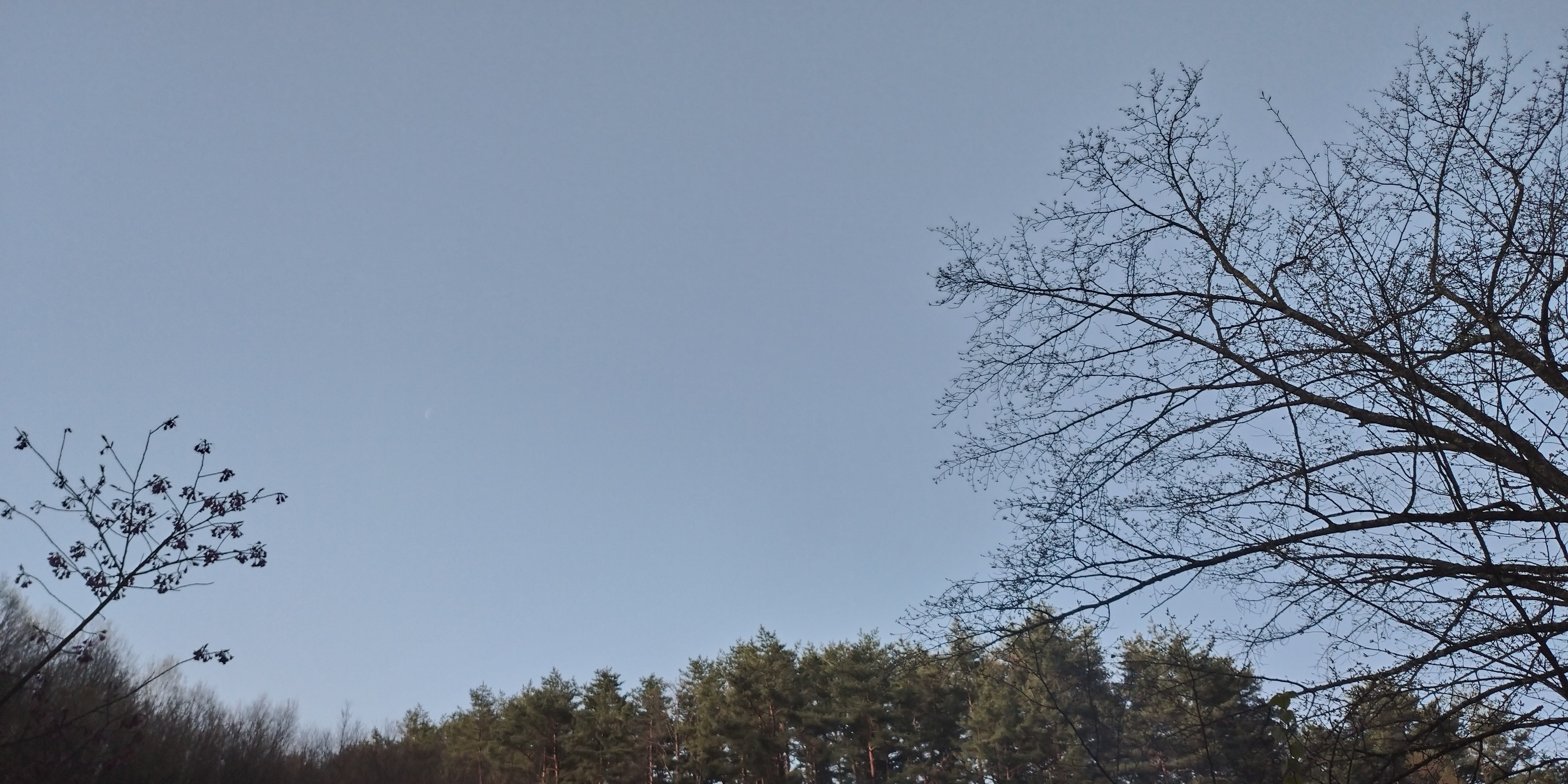 f:id:L2ud38KoEgkrtY0:20230420191237j:image