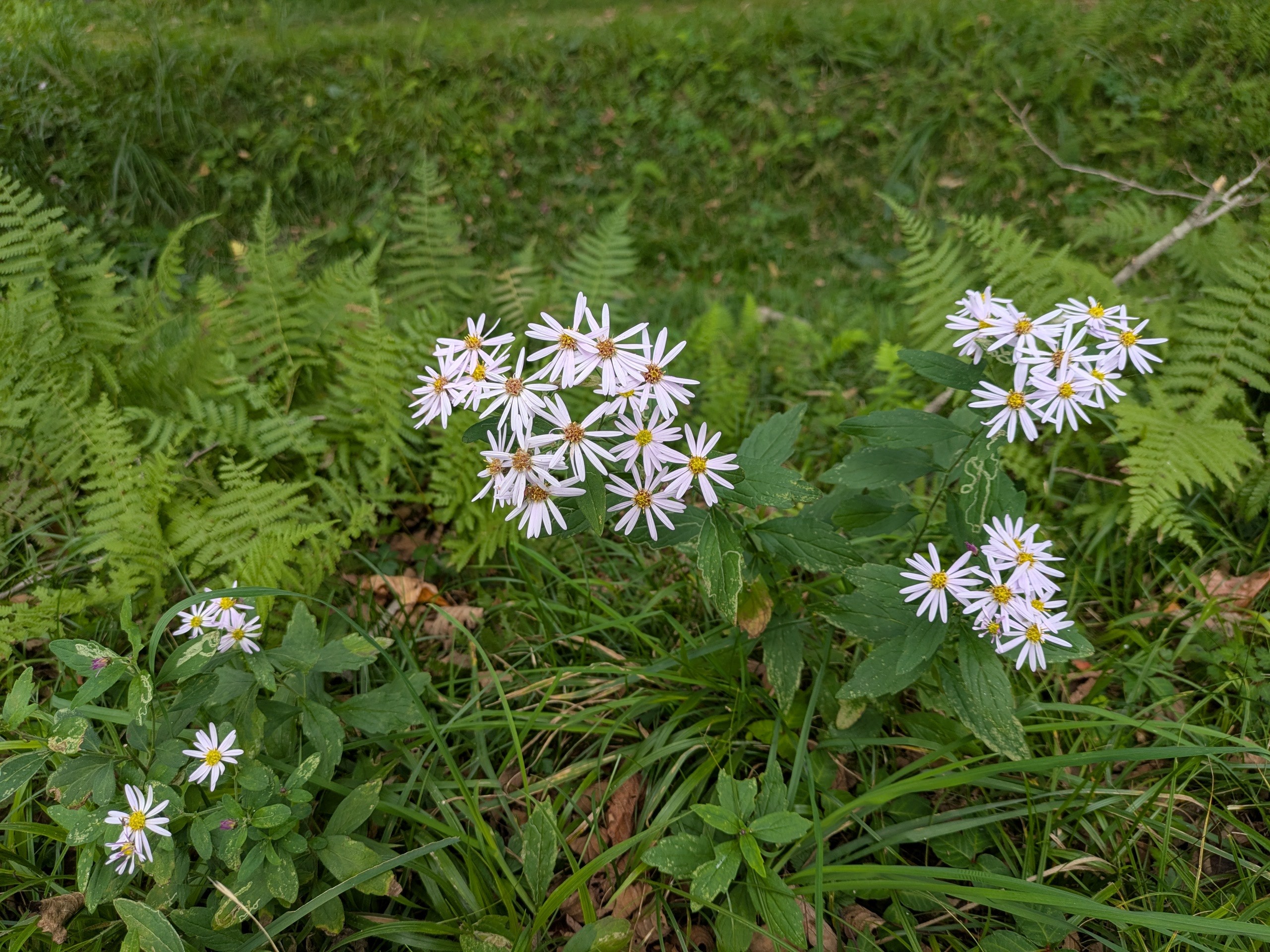 f:id:L2ud38KoEgkrtY0:20251006134157j:image