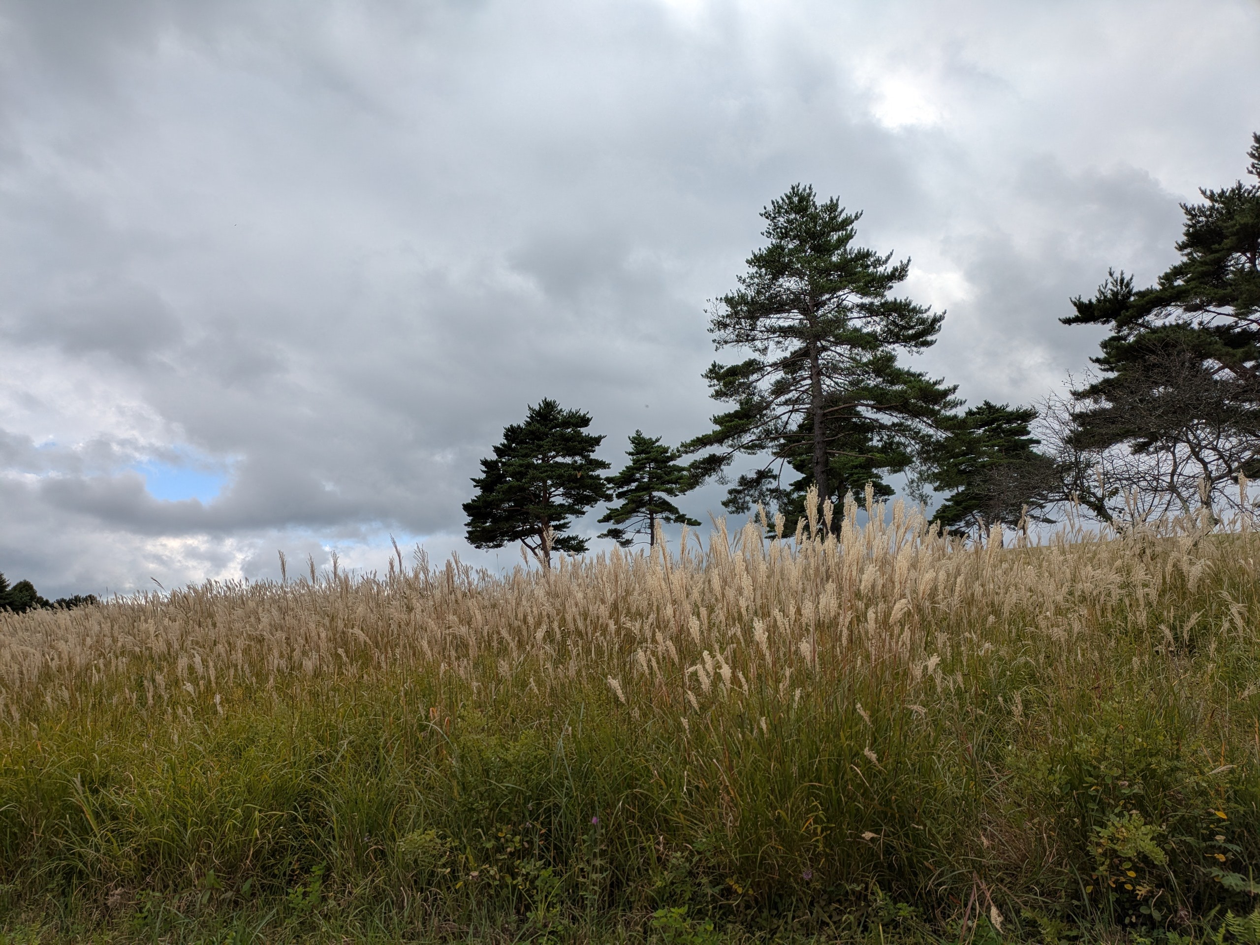 f:id:L2ud38KoEgkrtY0:20251006134230j:image