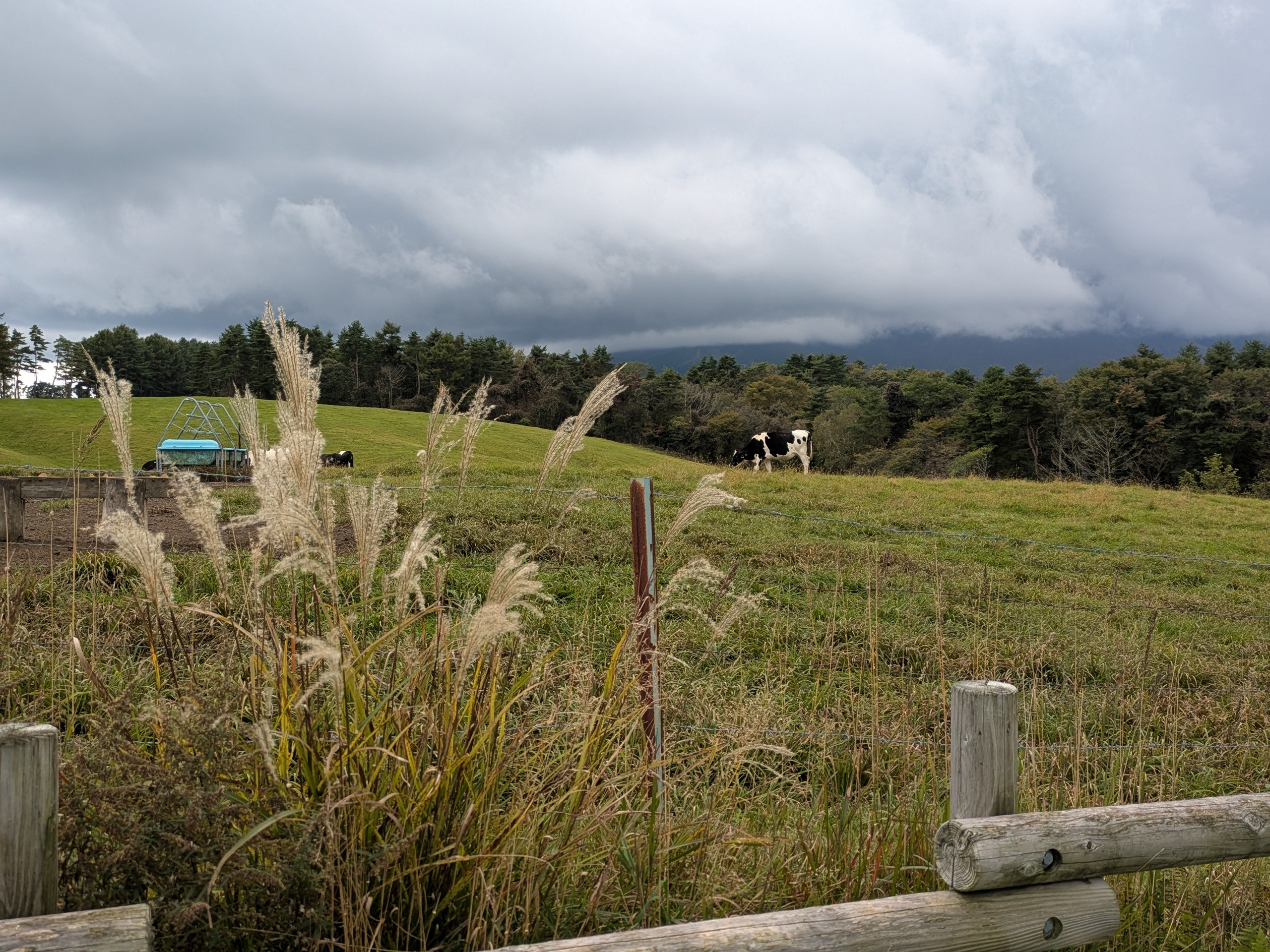 f:id:L2ud38KoEgkrtY0:20251006134313j:image