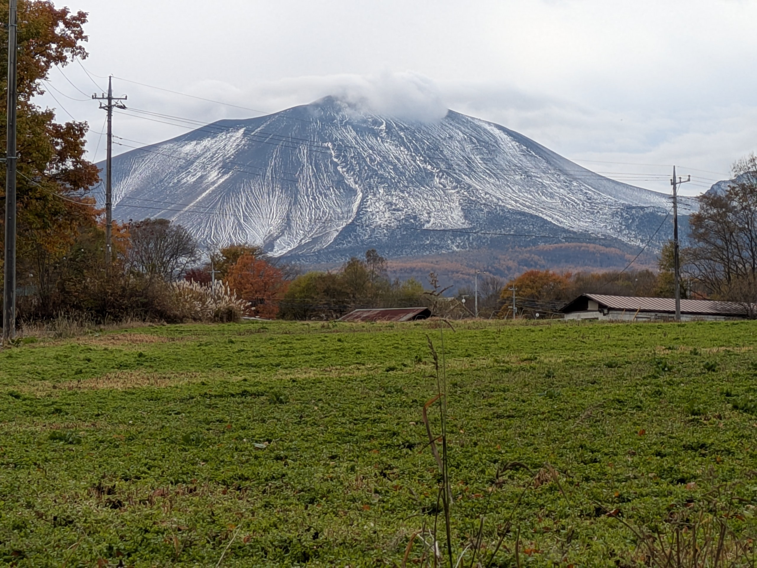 f:id:L2ud38KoEgkrtY0:20251106163028j:image f:id:L2ud38KoEgkrtY0:20251106163028j:image