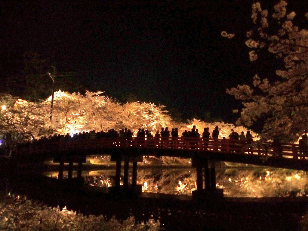 f:id:LABO_Nishiyama:20180424225848j:plain