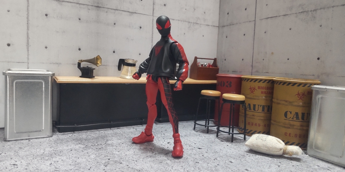 レビュー マーベルレジェンド【生誕10周年！】スパイダーマン