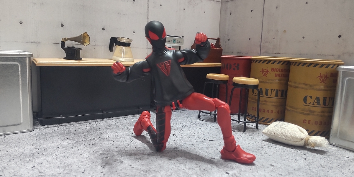 レビュー マーベルレジェンド【生誕10周年！】スパイダーマン