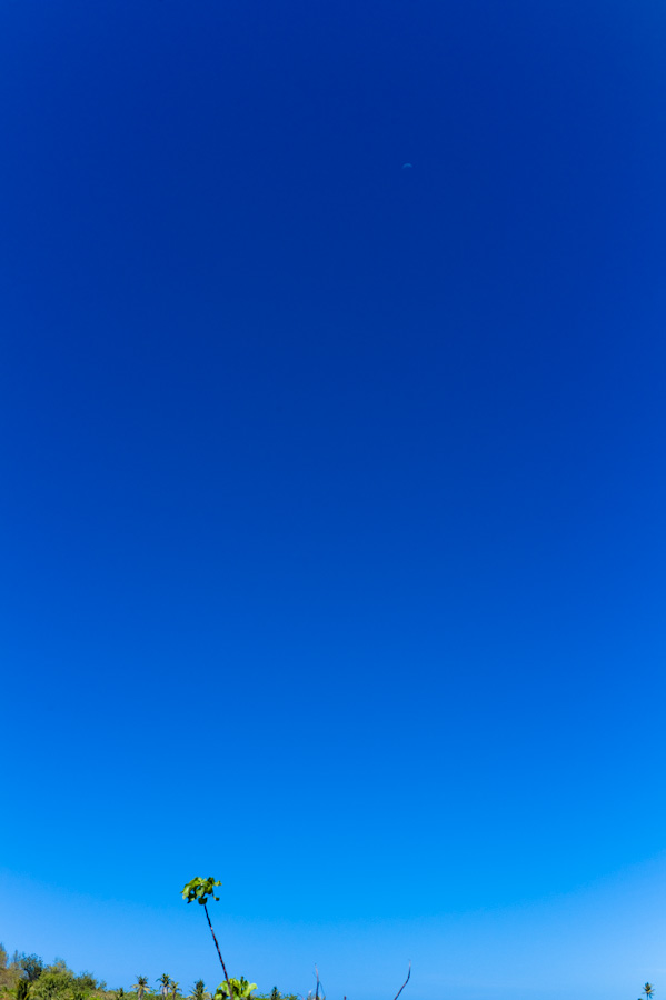 f:id:LANDS:20170226120327j:plain