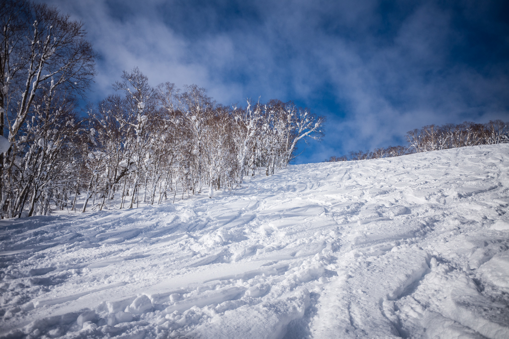 f:id:LANDS:20190107180810j:plain