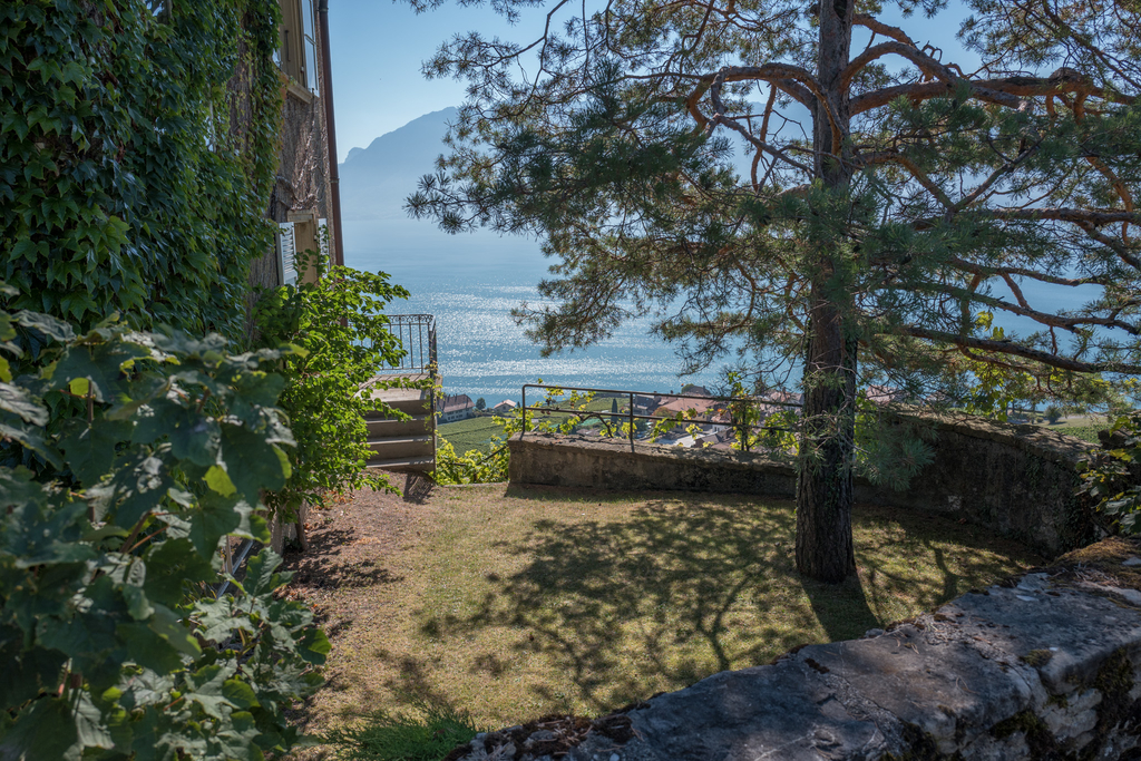 f:id:LANDS:20190116175400j:plain f:id:LANDS:20190116175400j:plain