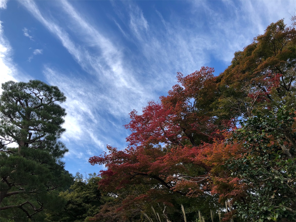 f:id:LAPICA:20181113001024j:image f:id:LAPICA:20181113001024j:image
