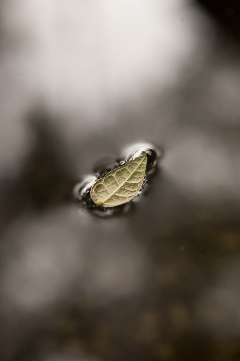 f:id:LAPIN1791:20190923070722j:plain
