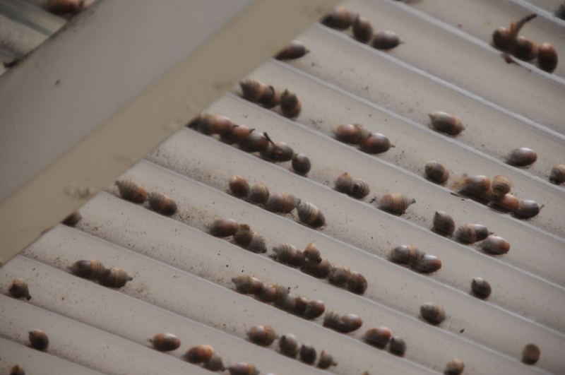 f:id:LAVANDNOUS:20121113111613j:image