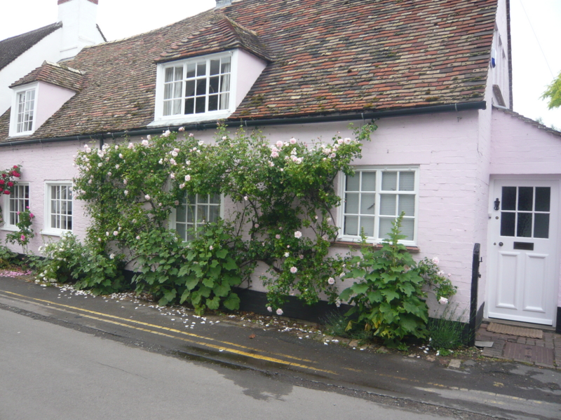 f:id:LAVANDNOUS:20130812222645j:image:w360 f:id:LAVANDNOUS:20130812222645j:image:w360