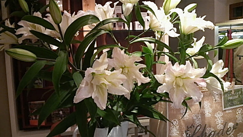 f:id:LAVANDNOUS:20130824104047j:image:w360 f:id:LAVANDNOUS:20130824104047j:image:w360