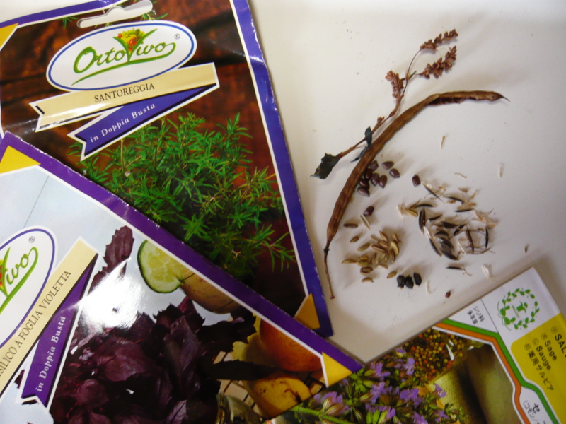 f:id:LAVANDNOUS:20140110231439j:image:w360 f:id:LAVANDNOUS:20140110231439j:image:w360