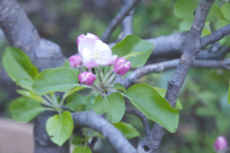 f:id:LAVANDNOUS:20140412100638j:image:w360