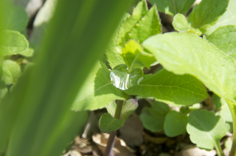 f:id:LAVANDNOUS:20140419110704j:image:w360 f:id:LAVANDNOUS:20140419110704j:image:w360